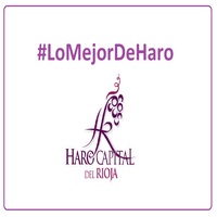 El Ayuntamiento de Haro da los primeros pasos del proyecto “Lo Mejor de Haro”