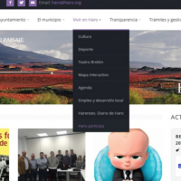 El Ayuntamiento de Haro crea la plataforma de encuestas ‘HARO Participa’