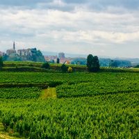 Haro busca este sábado sus embajadores de La Rioja para la campaña “Reserva para Volver”