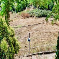 El Ayuntamiento desarrolla labores de limpieza en el entorno del Pardo y la vía verde