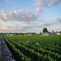 Haro inicia el trámite para el hermanamiento con Margaux-Cantenac