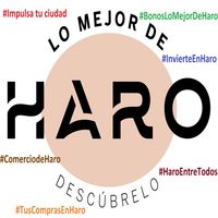 El Ayuntamiento de Haro prepara una campaña de 1.500 bonos de apoyo al comercio jarrero
