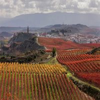 Haro pospone la celebración de la tercera semana del enoturismo