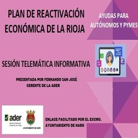 Cerca de 30 personas participan en la webinar sobre ayudas a la reactivación económica