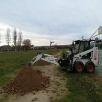 Las moreras de Antonio Larrea se replantan en el Parque de “El Mazo”
