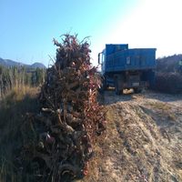 El Ayuntamiento de Haro recuerda que existe un punto limpio