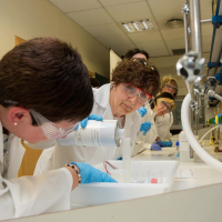 Abierto el plazo de inscripción para la Universidad de la Experiencia