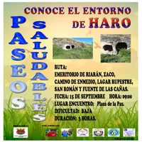 PASEO SALUDABLE 15 SEPTIEMBRE