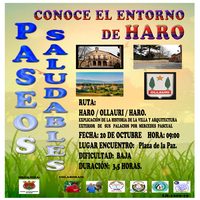 El domingo, nuevo ‘paseo saludable’ hasta Ollauri