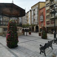 Nuevas jardineras en la Plaza de la Paz de Haro