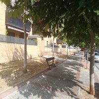 El Ayuntamiento de Haro sustituirá las moreras de la Calle Antonio Larrea