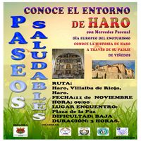 Nuevo Paseo Saludable en el Día Europeo del Enoturismo