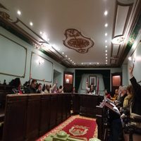 El pleno aprueba la compatibilización de la baja por maternidad de la alcaldesa