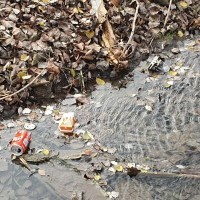 La recogida de residuos en el río Tirón se pospone