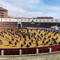 “Flores de Mayo en el día de la Madre”, el próximo concierto de la Banda Municipal de Música de Haro