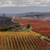 La ciudad de Haro contará con un parking de autocaravanas