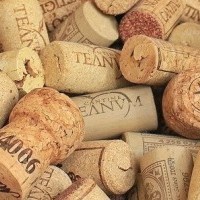 El Ayuntamiento de Haro impulsa una campaña de concienciación sobre el reciclaje de corchos