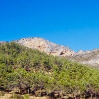 COMUNICADO DEL AYUNTAMIENTO DE HARO JUNIO 2021