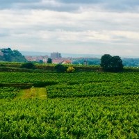 Haro se hermanará con Margaux-Cantenac el ocho de septiembre