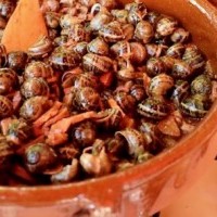 Haro convoca el XXVII Concurso Gastronómico de Caracoles