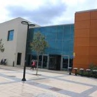 Hoy se abren las inscripciones para los cursos deportivos de verano