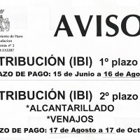 Hasta el 16 de agosto, abierto el plazo del primer pago del IBI