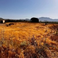 Haro autoriza al Gobierno de La Rioja el uso del antiguo vertedero para su restauración ambiental