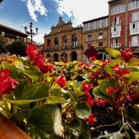 El martes 16 de agosto finaliza el plazo del primer pago del IBI