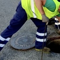 La empresa de limpieza prepara una campaña de desratización