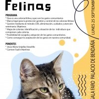 Charla sobre colonias felinas