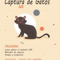 Curso de Captura de Gatos
