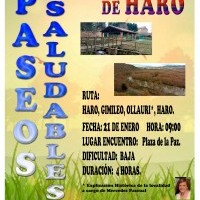 PASEOS SALUDABLES