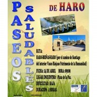 Paseo Saludable 14 de abril Camino de Santiago Vasco del Interior