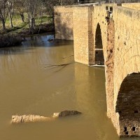 Cede un tajamar del puente de Briñas