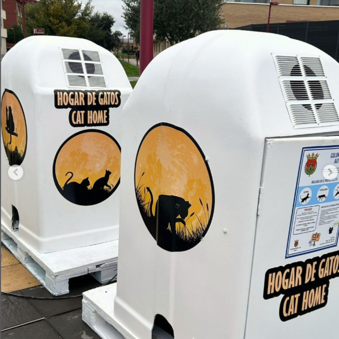 El Ayuntamiento adjudica el servicio de control de palomas, colonias felinas y perros extraviados 