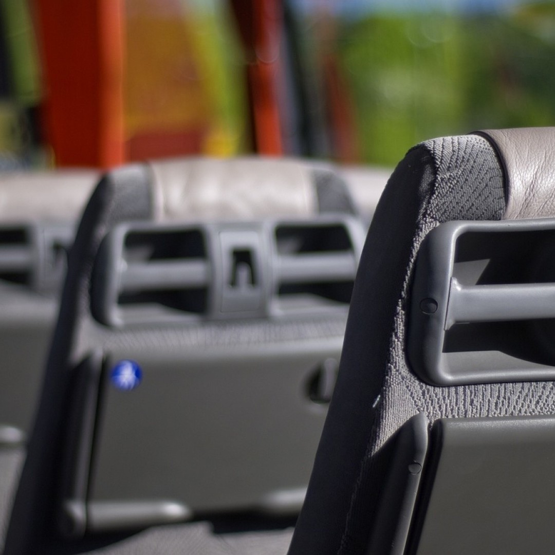 Autobús Joven a Fiestas de Santo Domingo de la Calzada