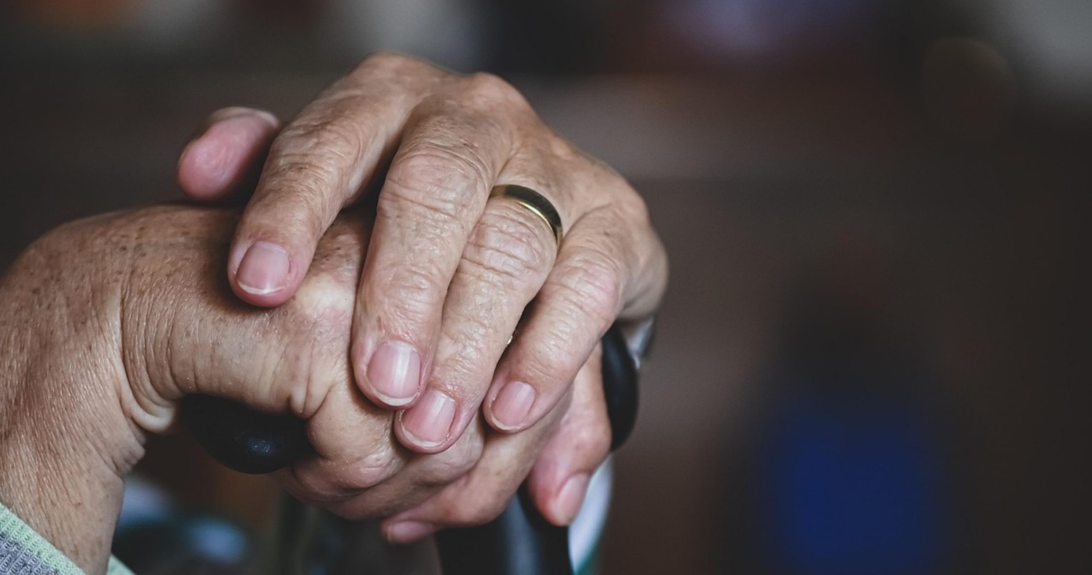 El Ayuntamiento de Haro refuerza el Servicio de Ayuda a Domicilio a 38.000 horas anuales en 2026