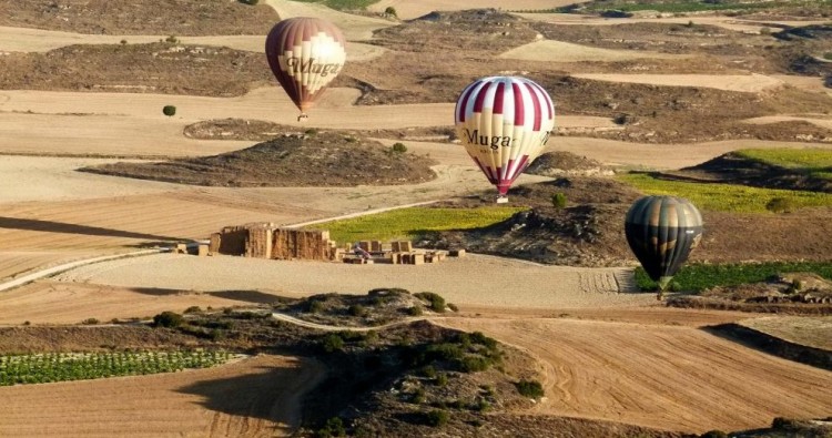 Globos Arcoiris SL